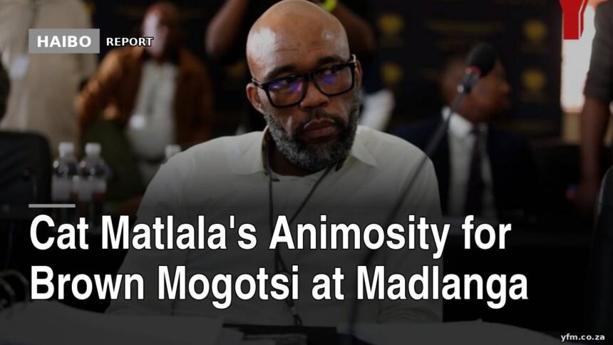Cat Matlala's Animosity For Brown Mogotsi At Madlanga