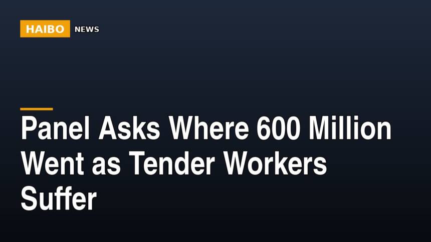 Panel Asks Where 600 Million Went As Tender Workers Suffer