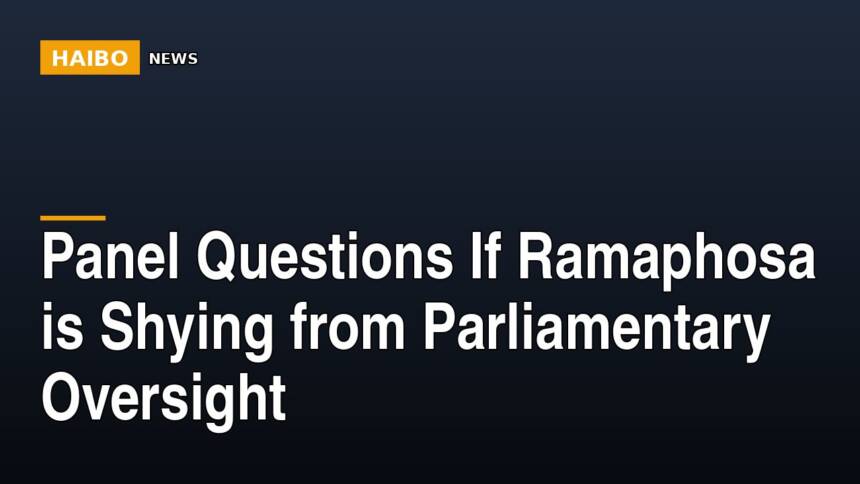 Panel Questions If Ramaphosa Is Shying From Parliamentary Oversight