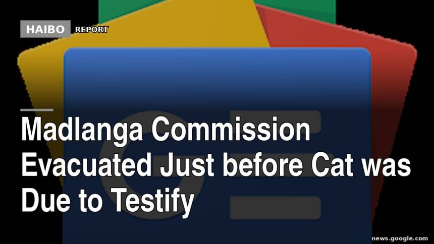 Madlanga Commission Evacuated Just Before Cat Was Due To Testify
