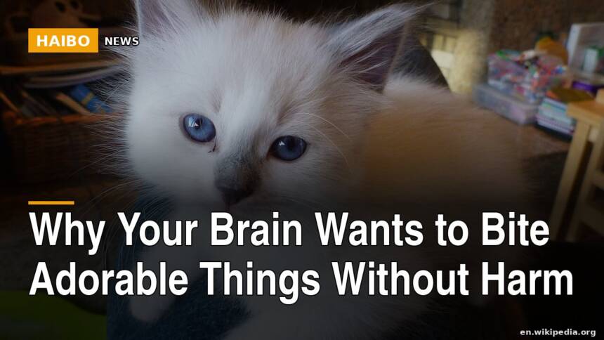Why Your Brain Wants To Bite Adorable Things Without Harm