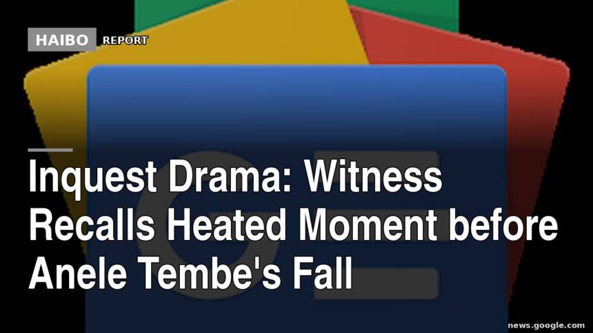 Inquest Drama: Witness Recalls Heated Moment Before Anele Tembe's Fall