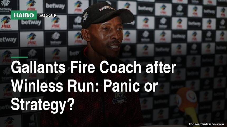 Gallants Fire Coach After Winless Run: Panic Or Strategy?