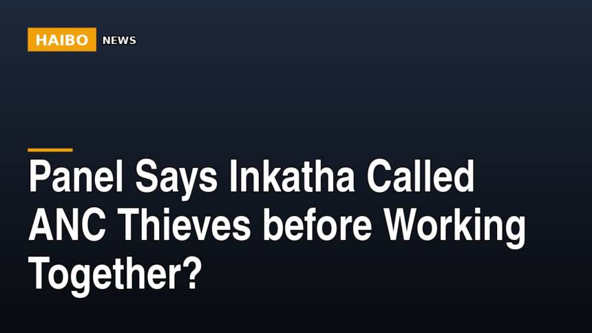 Panel Says Inkatha Called ANC Thieves Before Working Together?
