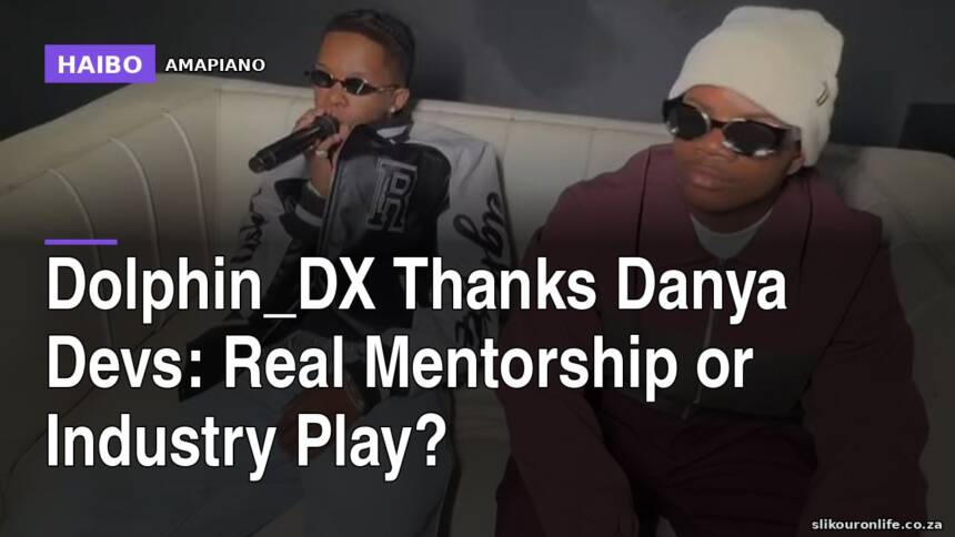 Dolphin_DX Thanks Danya Devs: Real Mentorship Or Industry Play?