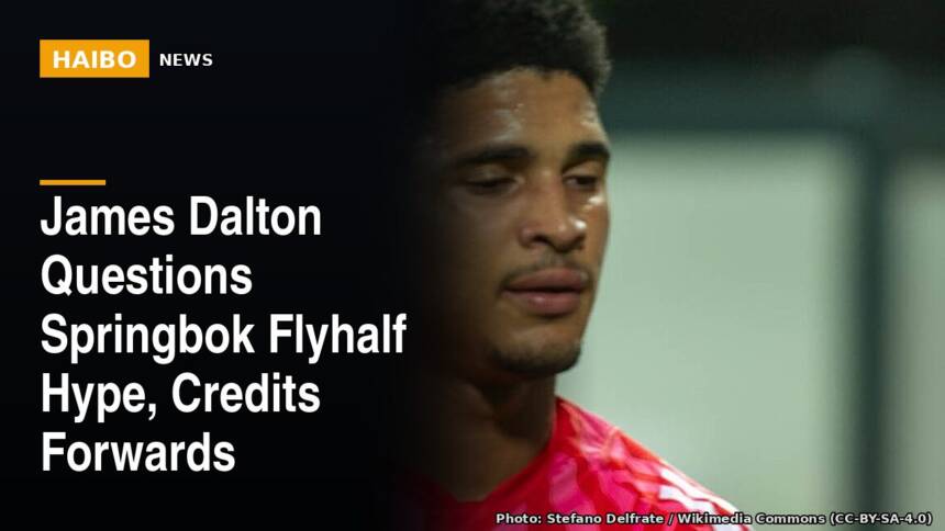 James Dalton Questions Springbok Flyhalf Hype, Credits Forwards