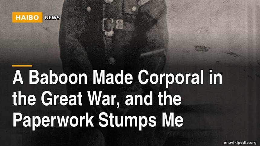 A Baboon Made Corporal In The Great War, And The Paperwork Stumps Me