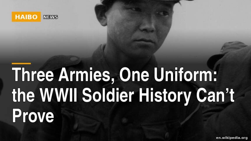 Three Armies, One Uniform: The WWII Soldier History Can’t Prove