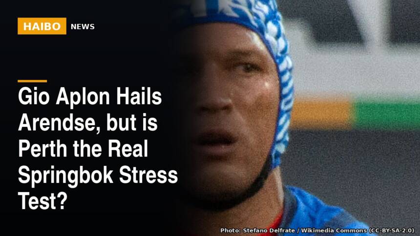 Gio Aplon Hails Arendse, But Is Perth The Real Springbok Stress Test?