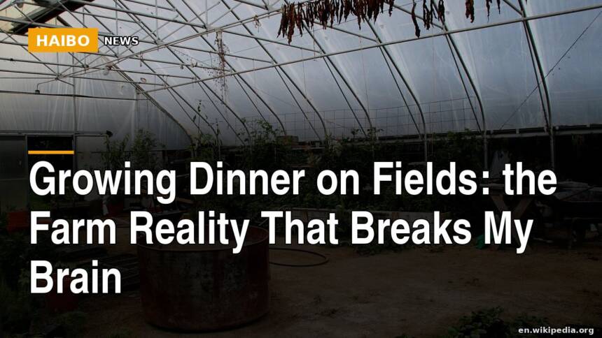 Growing Dinner On Fields: The Farm Reality That Breaks My Brain